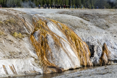 Old Faithful Geyser Area Yellowstone 2024